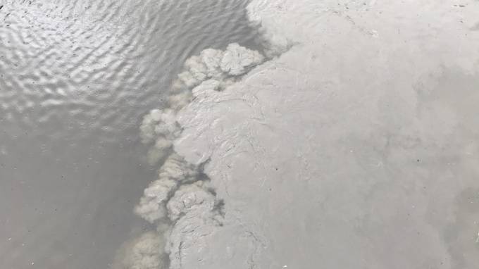 Петербуржцы сообщили об очередных выбросах&nbsp;в реку Смоленку