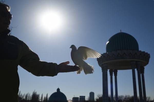 Жители Магадана намерены оспорить запрет кормить голубей в общественных местах