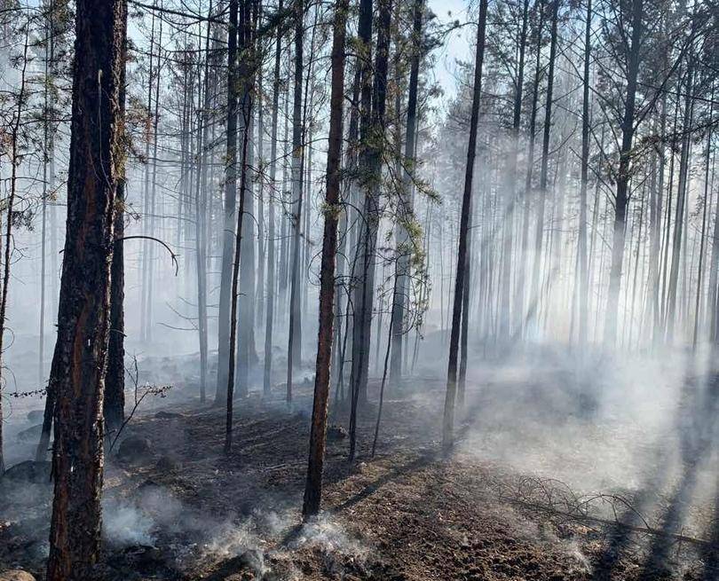 На севере Бурятии локализовали один лесной пожар из трех
