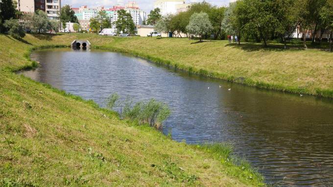 Власти Петербурга пообещали остановить загрязнение реки Новой и очистить ее
