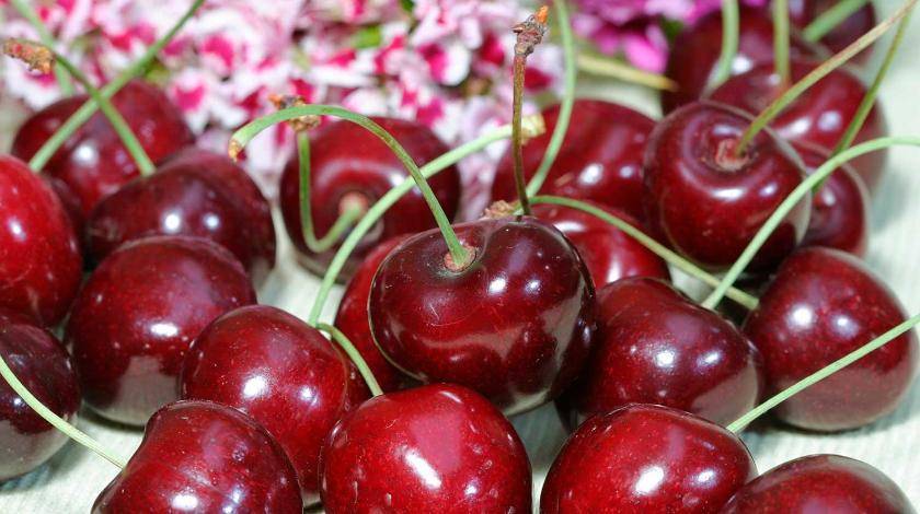 На здоровье: названы самые полезные ягоды