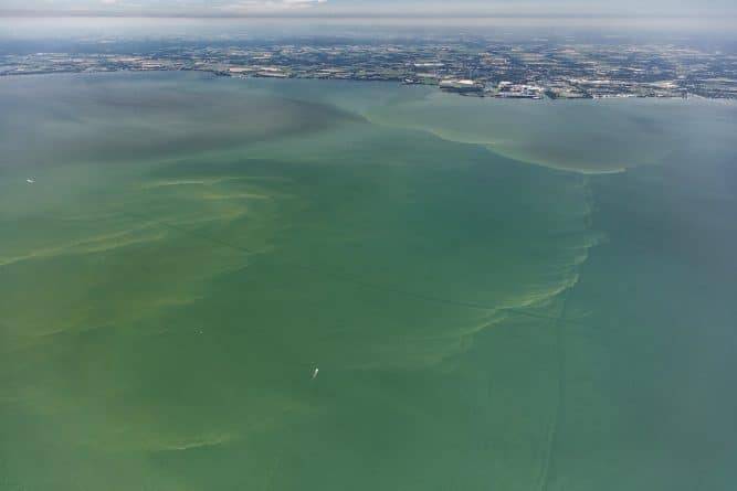 Все пляжи Миссисипи закрыли из-за токсического цветения водорослей - usa.one - штат Миссисипи