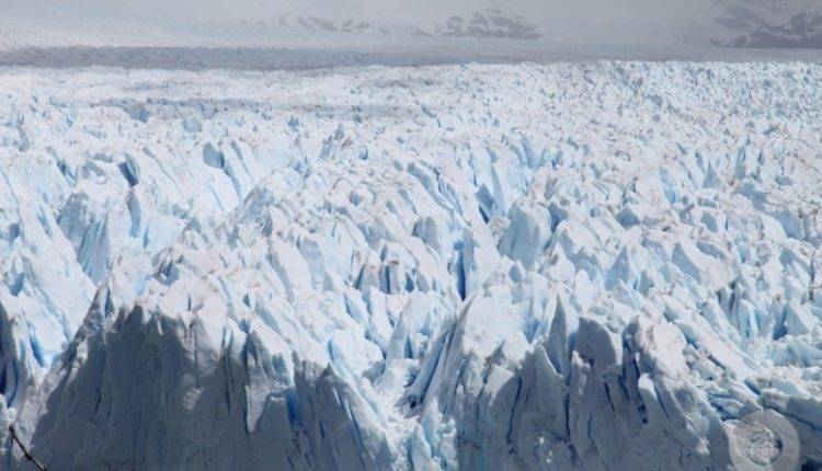 Следы эпидемии «Черной смерти» нашли в арктических ледниках