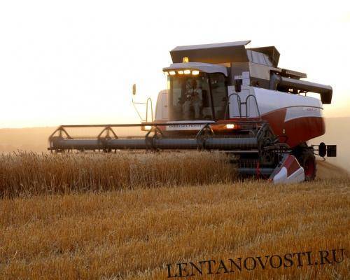 Намолот пшеницы в России более чем на 5 млн. тонн больше прошлогоднего