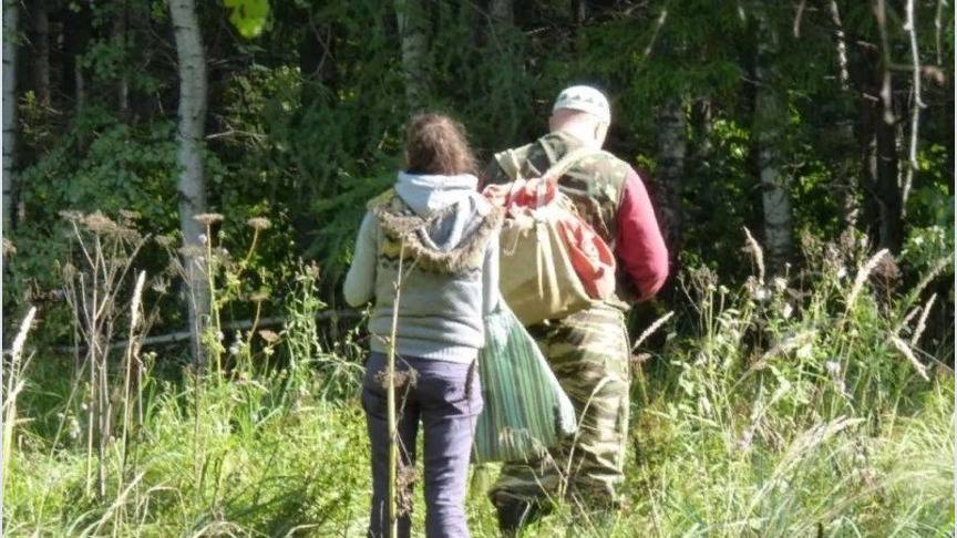 В Кировской области в лесу заблудилась семейная пара