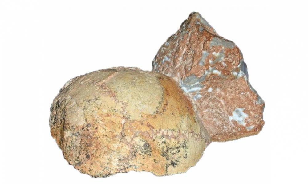 Ученые нашли древнейшие за пределами Африки человеческие останки