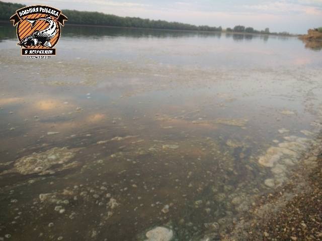 Очевидцы сообщают о загрязнении реки нефтепродуктами под Астраханью