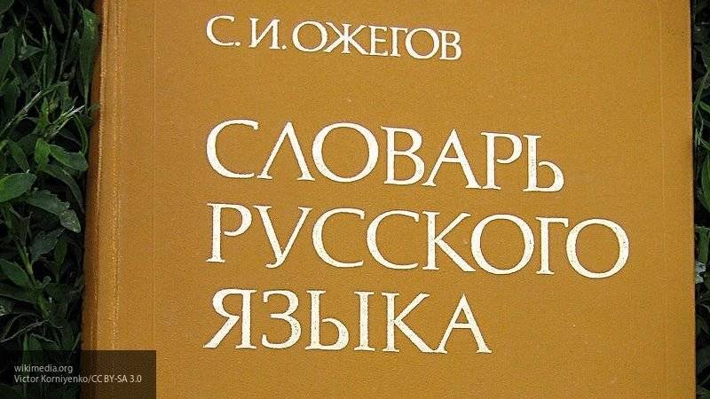 На Украине предложили дать русскому языку новое название