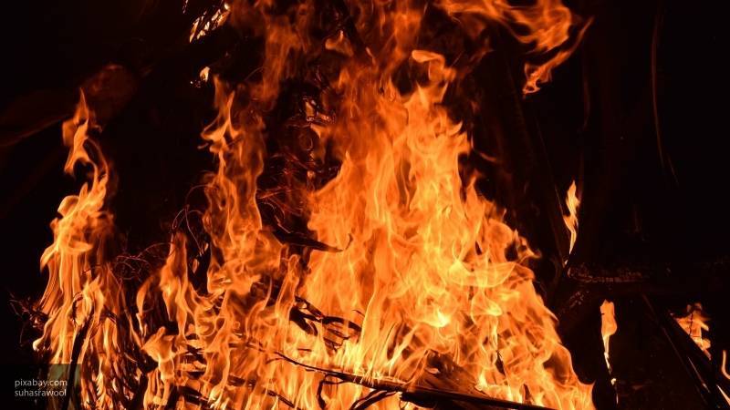 Трое детей погибли в результате пожара в частном доме в Новосибирской области