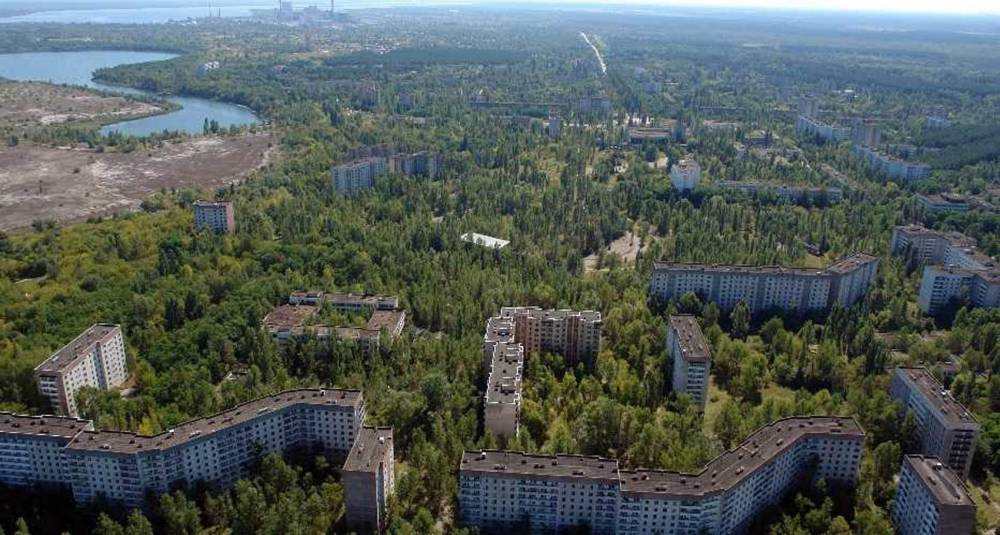 Невероятно: В Чернобыле растет растение, которое может вылечить рак