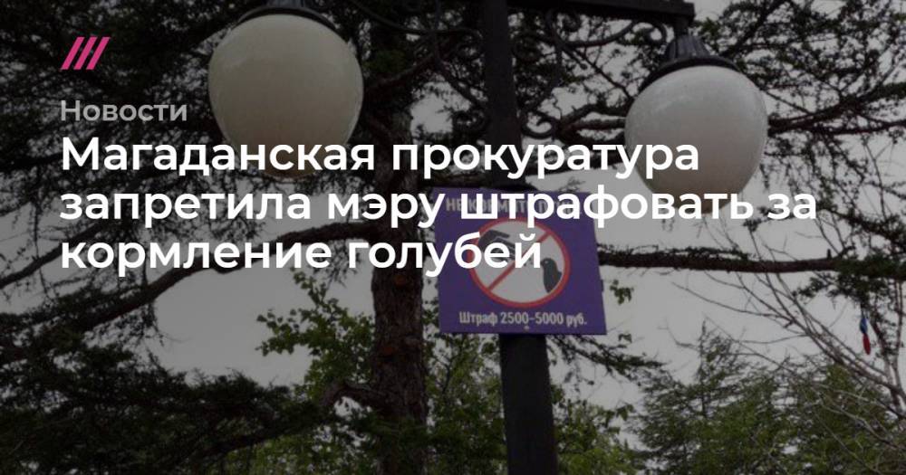 Магаданская прокуратура запретила мэру штрафовать за кормление голубей
