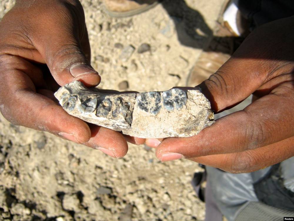 Найдены самые древние останки человека за пределами Африки