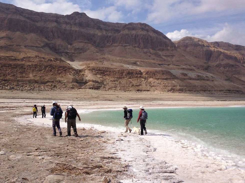 Ученые разгадали загадку кристаллов Мертвого моря