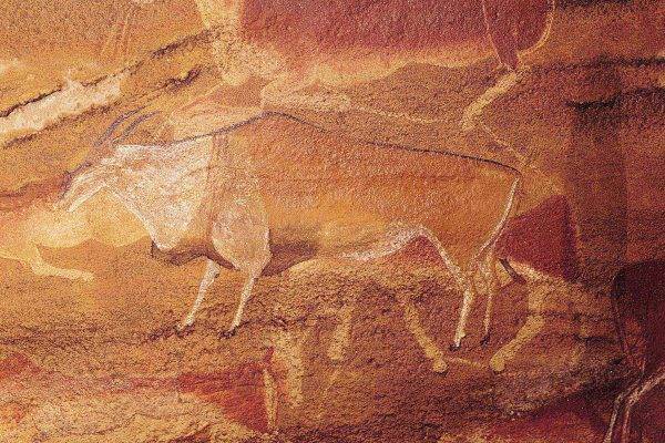 В Южной Африке обнаружены 8 000-летние петроглифы