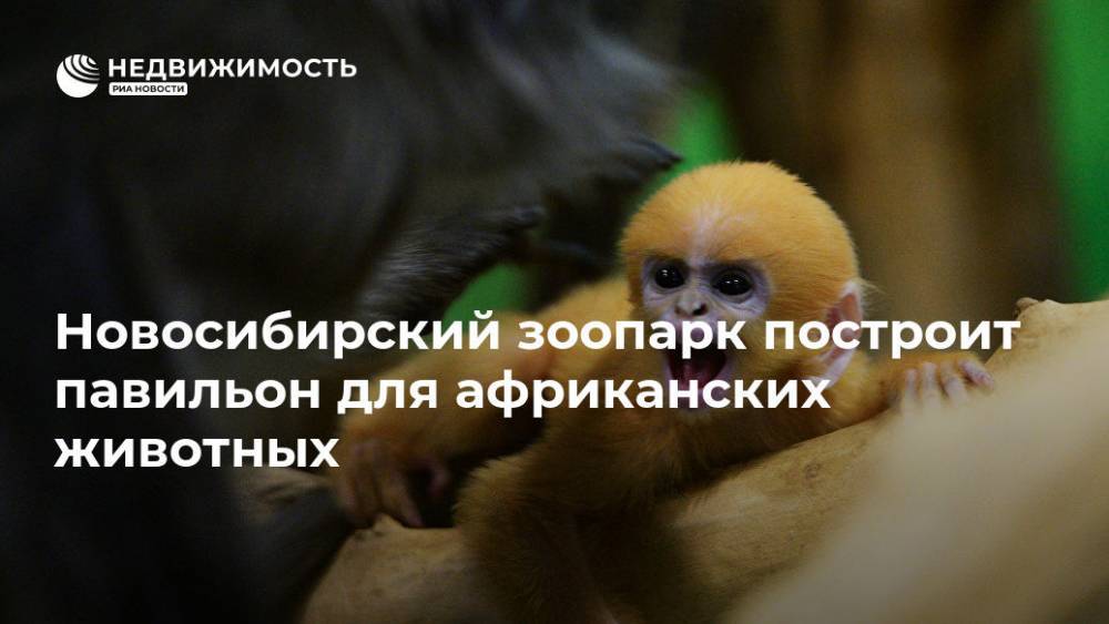 Новосибирский зоопарк построит павильон для африканских животных