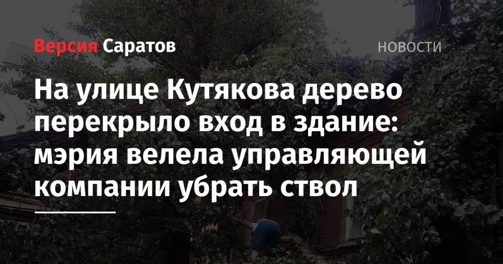 На улице Кутякова дерево перекрыло вход в здание: мэрия велела управляющей компании убрать ствол