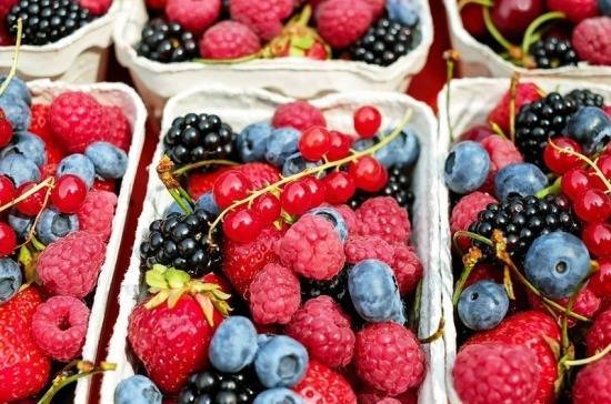 В Госдуму внесли законопроект о снижении НДС на плодово-ягодные культуры