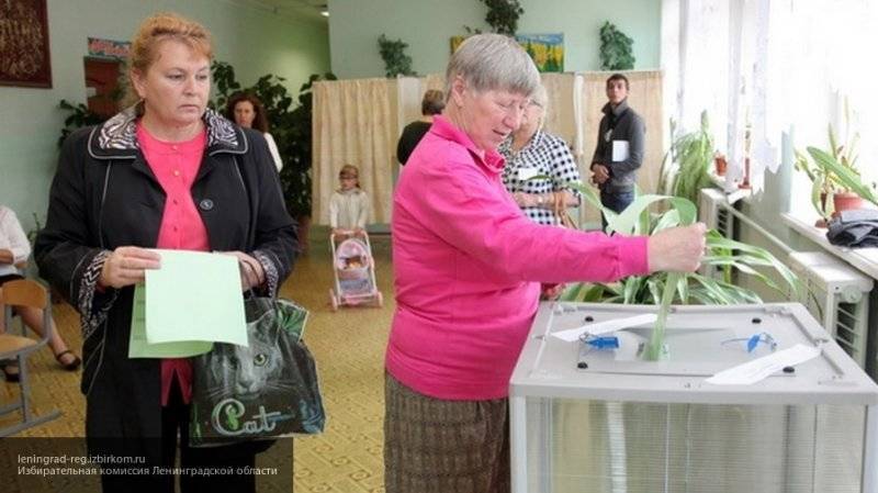 Петербуржцы смогут проголосовать на выборах губернатора, находясь на дачах в Ленобласти