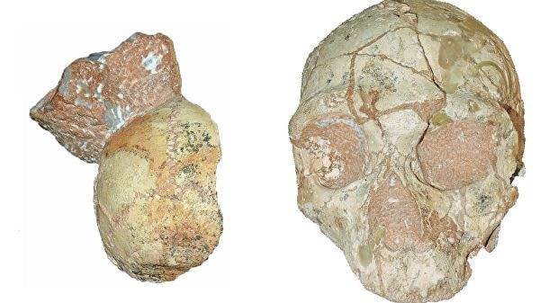 Найдены самые древние останки современных людей за пределами Африки