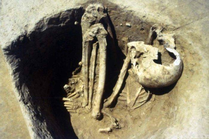 Обнаруженные 40 лет назад в Греции останки человека оказались древнейшими в Европе | PolitNews
