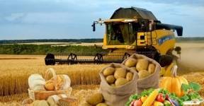 Готов ли белорусский АПК к усилению конкуренции на мировом рынке продовольствия?