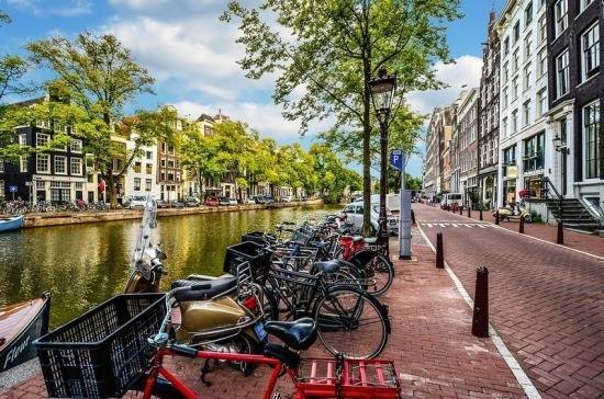 Велосипедным мэром Амстердама стал 10-летний мальчик