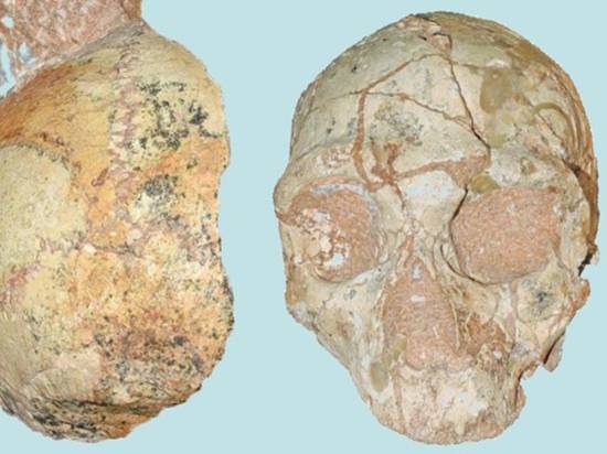 Обнаружены древнейшие останки «современного» человека вне Африки