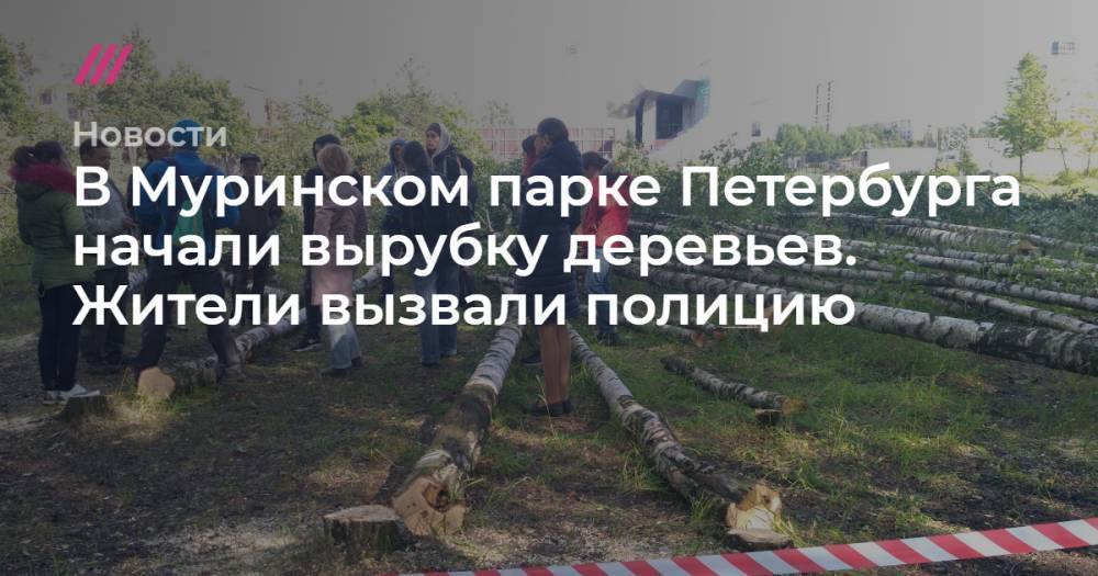 В Муринском парке Петербурга начали вырубку деревьев. Жители вызвали полицию