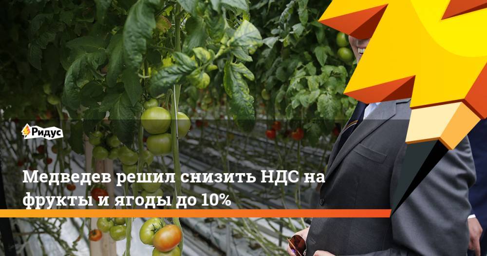 Медведев решил снизить НДС на фрукты и ягоды до 10%. Ридус