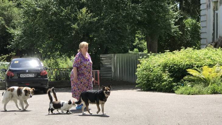 Жительница Брянска сколотила отряд из дружелюбных собак и гордых кошек