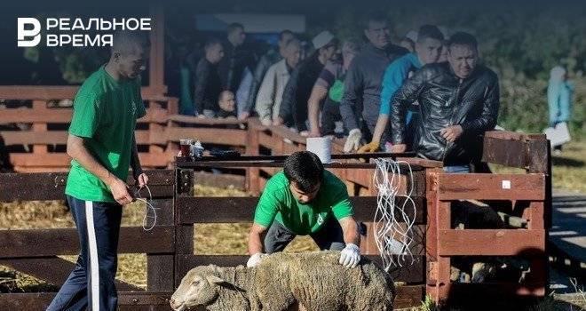 В Казани определены места для жертвоприношения животных на Курбан-байрам