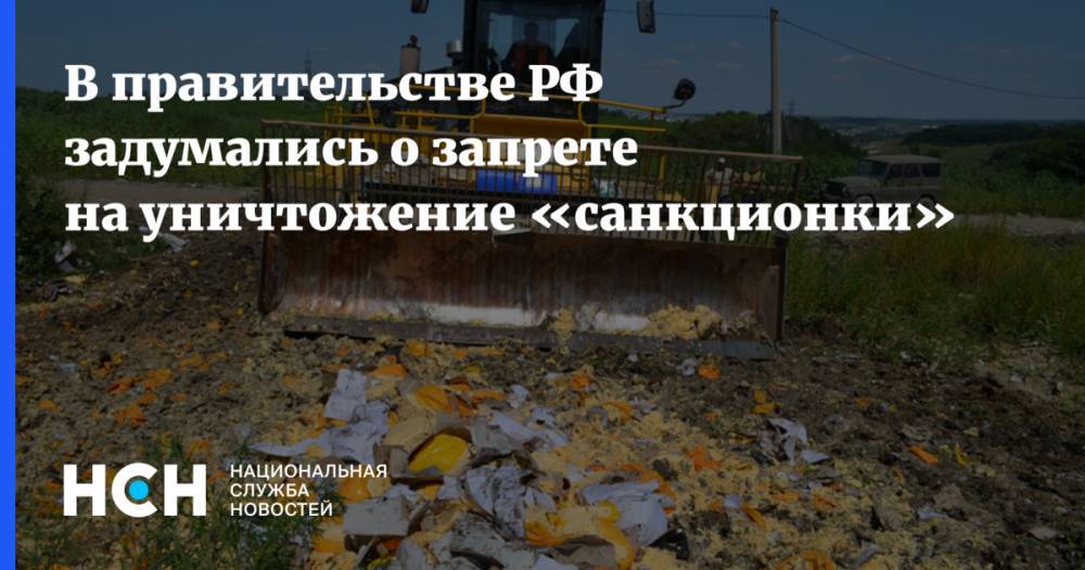 В правительстве РФ задумались о запрете на уничтожение «санкционки»