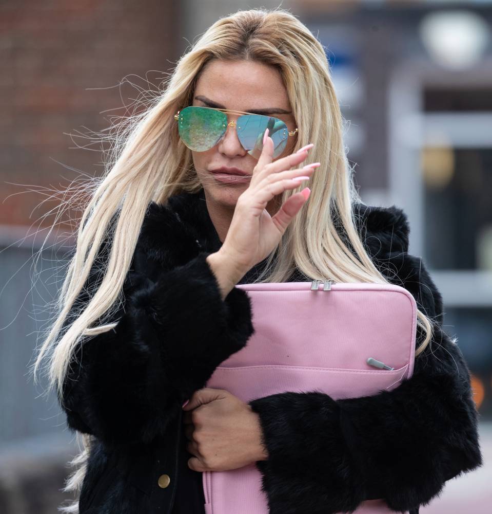 ‘Skint’ Katie Price is building a gym, beauty studio and horse exercise arena in the grounds of her mucky mansion as she plots big showbiz comeback