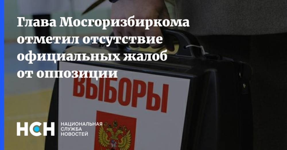 Глава Мосгоризбиркома отметил отсутствие официальных жалоб от оппозиции
