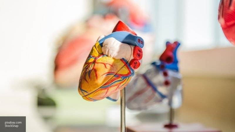 Ученые рассказали, что предшествует смерти от внезапной остановки сердца