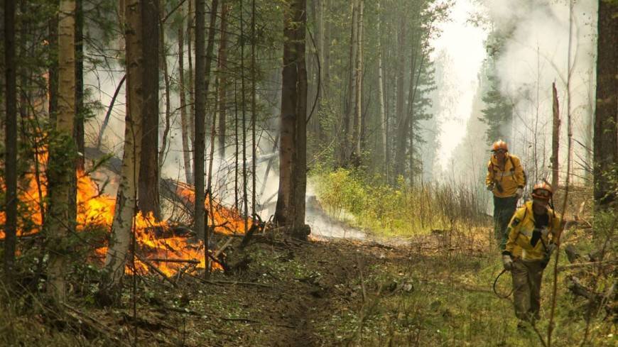 В Иркутской области из-за лесных пожаров ввели режим ЧС