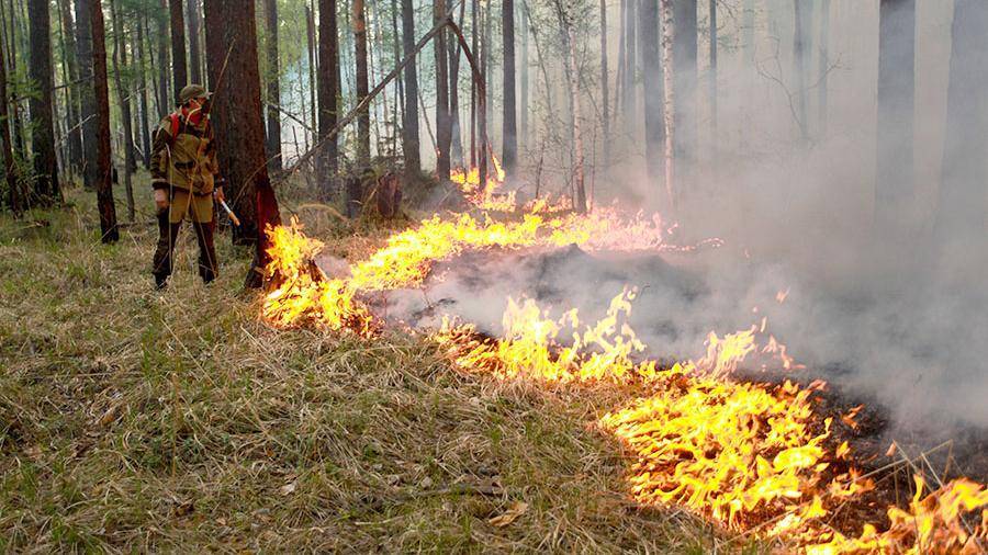 Режим ЧС ввели в Иркутской области из-за лесных пожаров