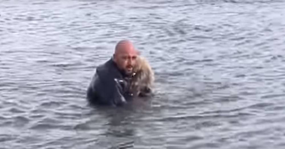 Турецкий полицейский спас чуть не утонувшего щенка