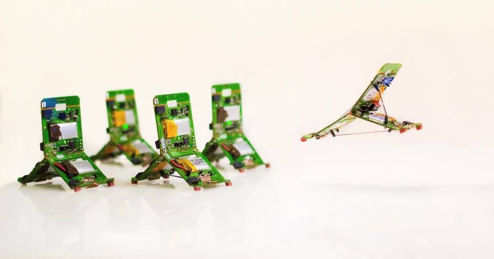 Прыгающие роботы-муравьи используют работу в&nbsp;команде для&nbsp;преодоления препятствий