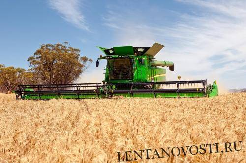 Урожай зерновых составит около 118 млн тонн, пшеницы — до 75 млн тонн – МСХ России