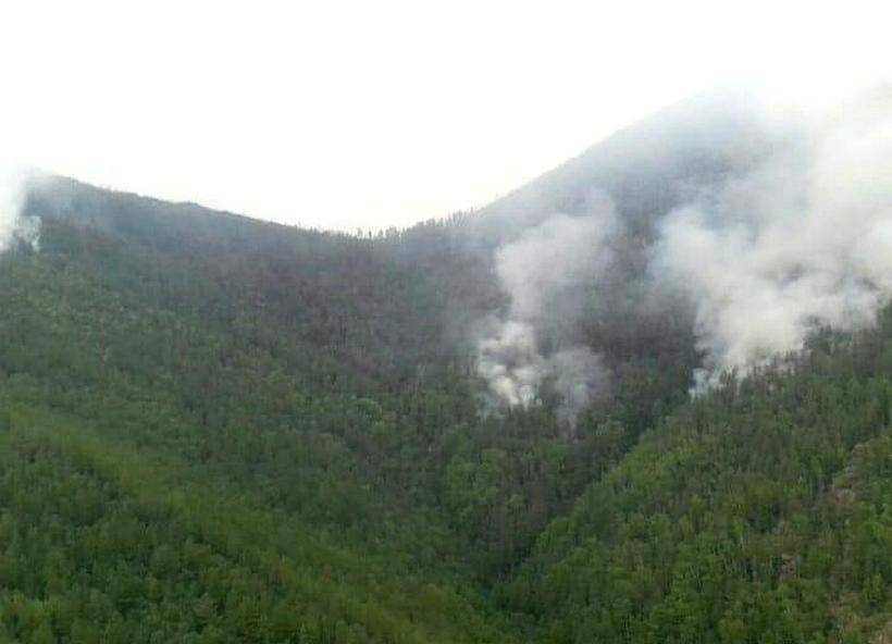 На севере Бурятии неделю не могут справиться с лесными пожарами, возникшими из-за гроз