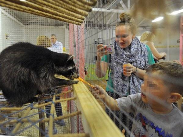 Россельхознадзор организует наблюдение за животными в цирках и зоопарках