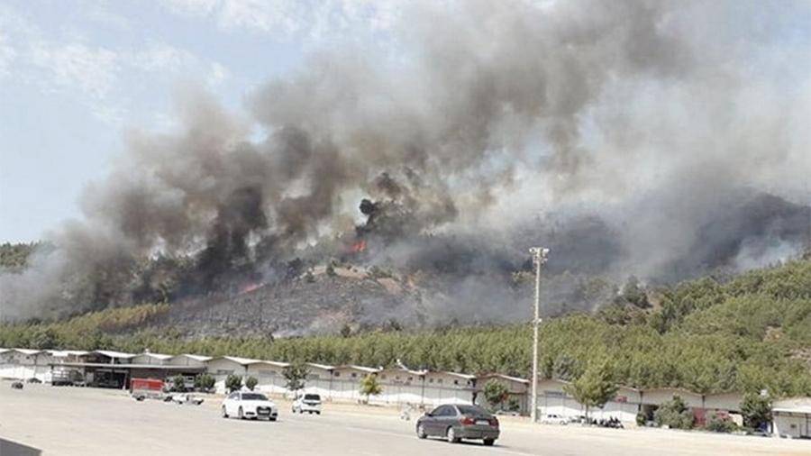 Отравляющая мгла: дым от пожаров окутал турецкие курорты. РЕН ТВ