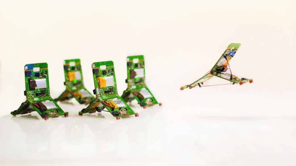 Ученые создали необычный проект мини-роботов Tribots