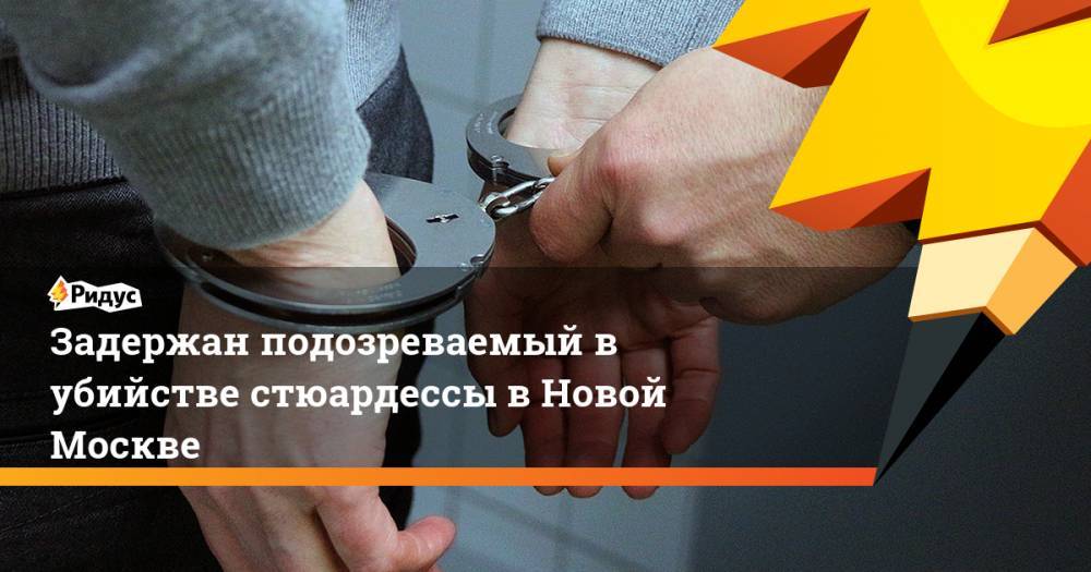 Задержан подозреваемый в убийстве стюардессы в Новой Москве. Ридус