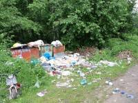 После публикации народной новости на ТИА проверяют организацию, занимающуюся вывозом мусора в Пеновском районе - ТИА