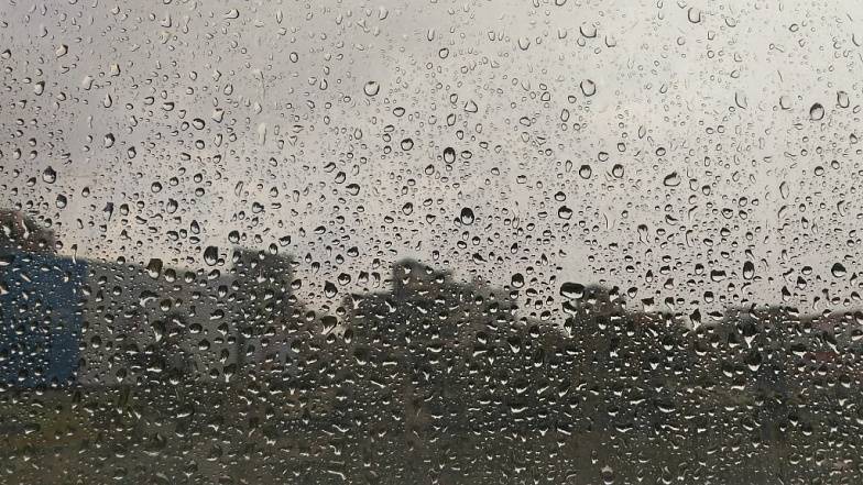 МЧС: дожди на Дону продлятся три дня, ожидают горзы и град