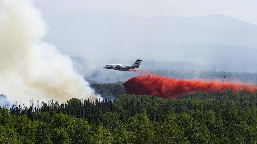 В ООН рассказали о беспрецедентном числе лесных пожаров в Сибири и на Аляске