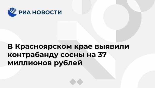 В Красноярском крае выявили контрабанду сосны на 37 миллионов рублей