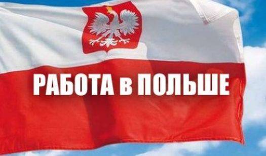 Кількість українських робітників у Польщі зросла в 5 разів